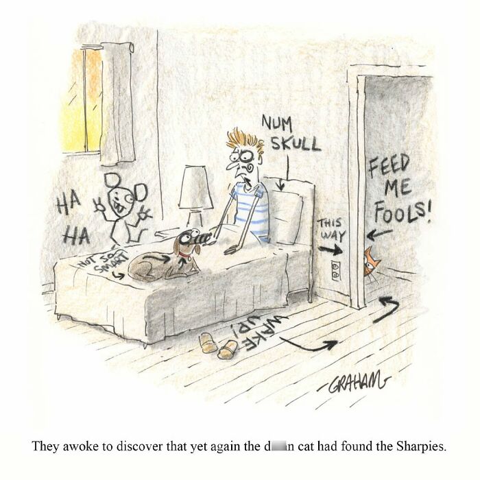 Wait, They Actually Ranked That?! 43 Cat Comics That Are So Weird, They're Hilarious