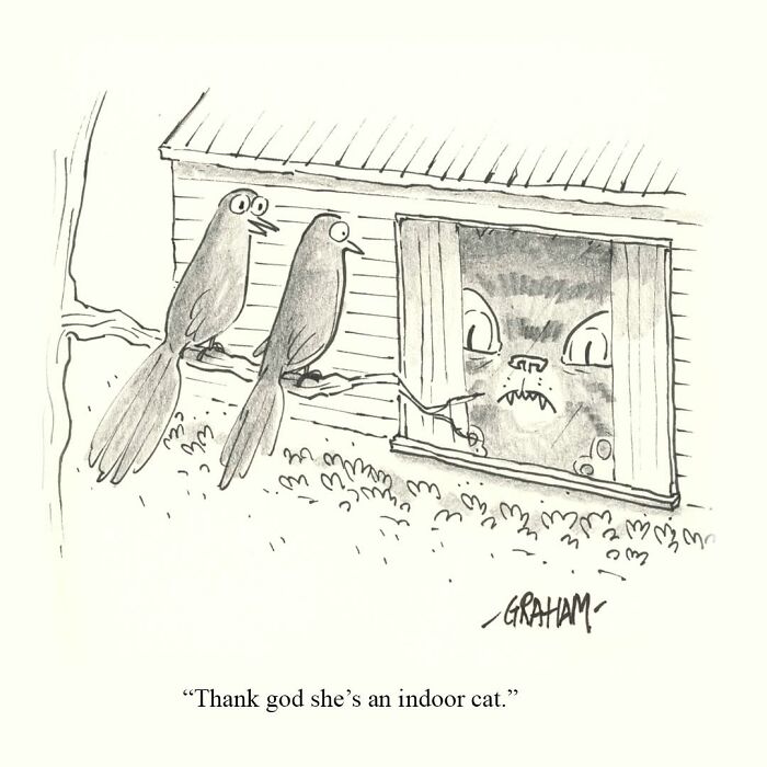 Wait, They Actually Ranked That?! 43 Cat Comics That Are So Weird, They're Hilarious
