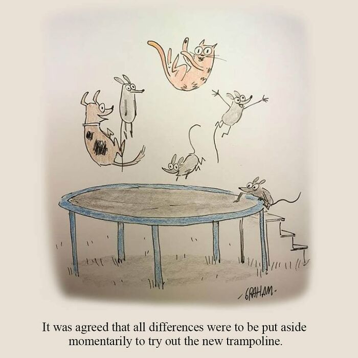 Wait, They Actually Ranked That?! 43 Cat Comics That Are So Weird, They're Hilarious
