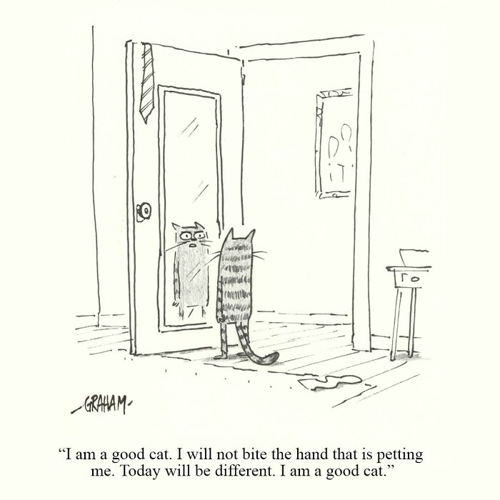 Wait, They Actually Ranked That?! 43 Cat Comics That Are So Weird, They're Hilarious