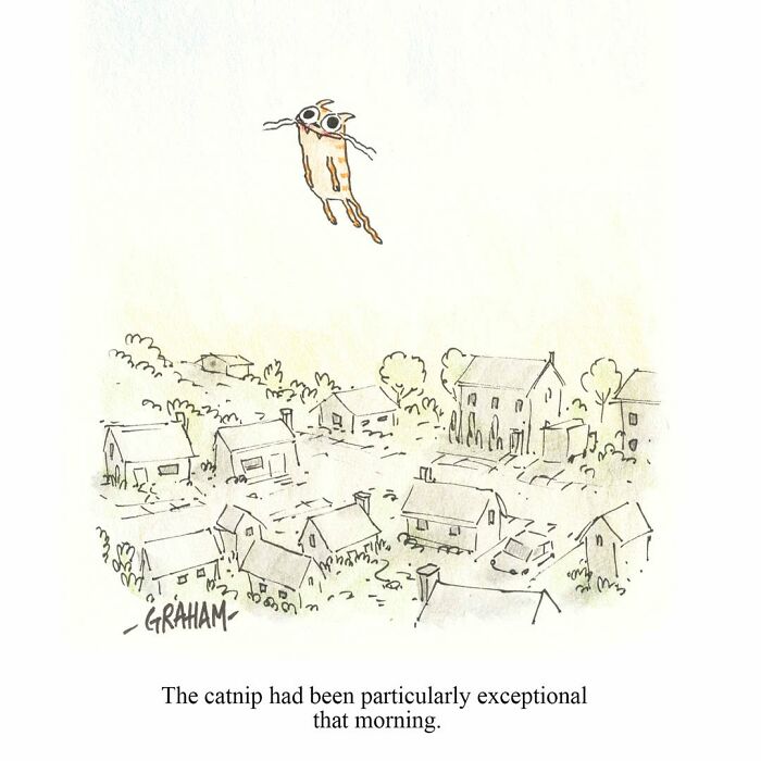 Wait, They Actually Ranked That?! 43 Cat Comics That Are So Weird, They're Hilarious