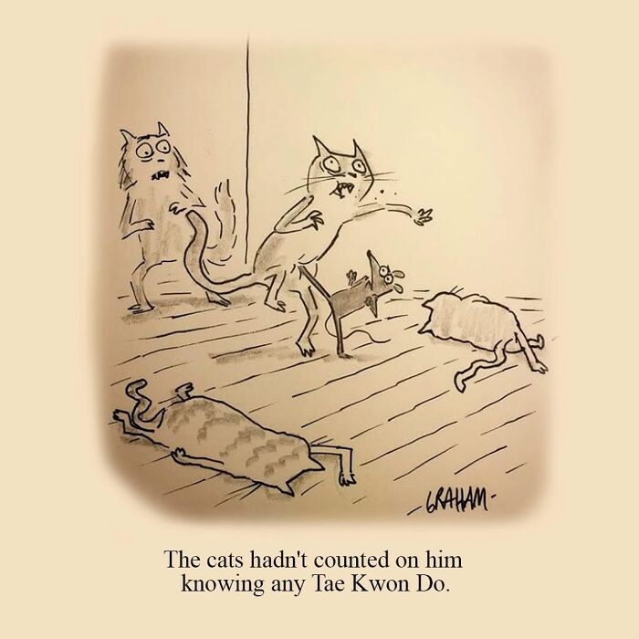Wait, They Actually Ranked That?! 43 Cat Comics That Are So Weird, They're Hilarious