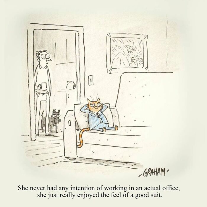 Wait, They Actually Ranked That?! 43 Cat Comics That Are So Weird, They're Hilarious