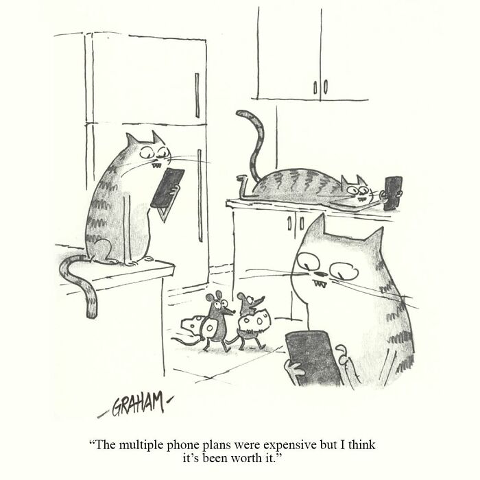 Wait, They Actually Ranked That?! 43 Cat Comics That Are So Weird, They're Hilarious