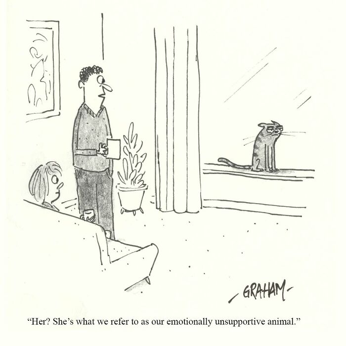 Wait, They Actually Ranked That?! 43 Cat Comics That Are So Weird, They're Hilarious
