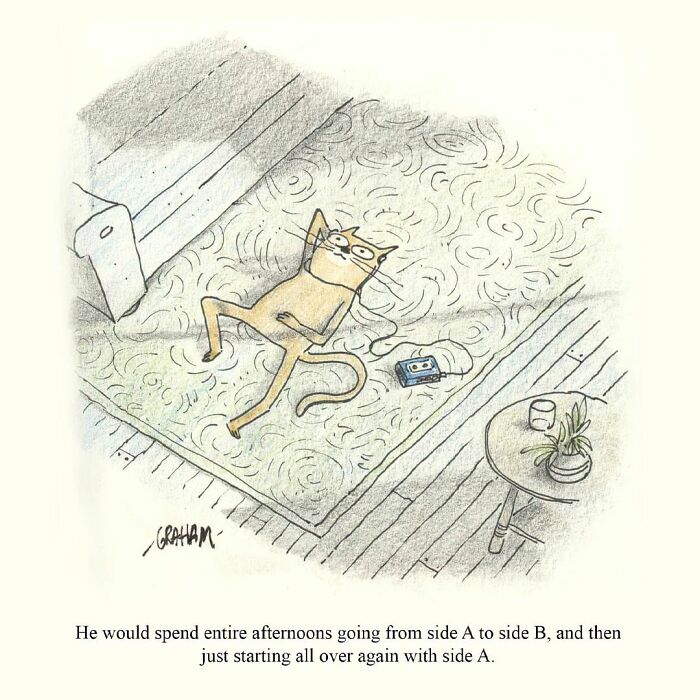 Wait, They Actually Ranked That?! 43 Cat Comics That Are So Weird, They're Hilarious