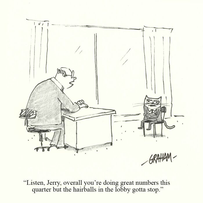 Wait, They Actually Ranked That?! 43 Cat Comics That Are So Weird, They're Hilarious