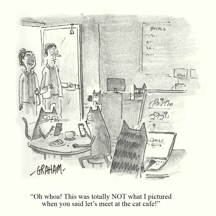 Wait, They Actually Ranked That?! 43 Cat Comics That Are So Weird, They're Hilarious