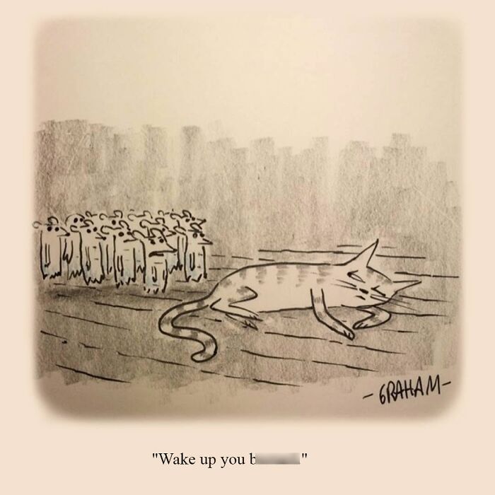 Wait, They Actually Ranked That?! 43 Cat Comics That Are So Weird, They're Hilarious