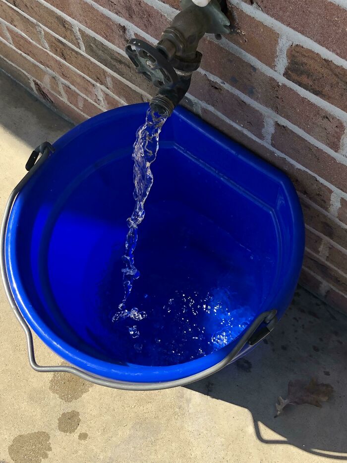 My Bucket Has a Flat Side So It Can Chill Against the Wall (No More Tipping!)