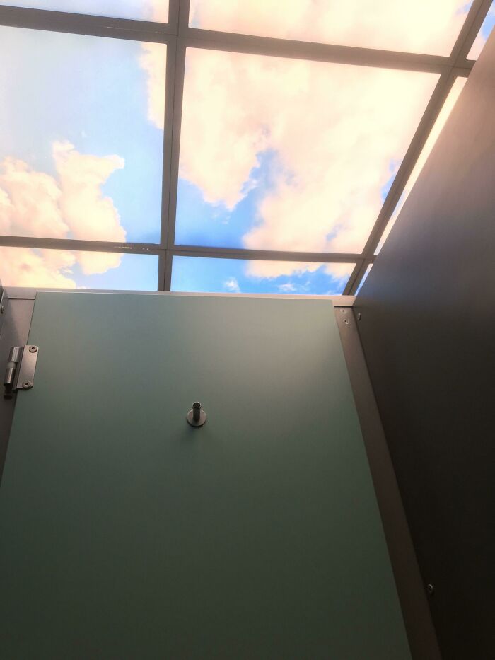 Ceiling Lights in This Toilet Give Spa Vibes. Bye Boring Bathrooms!