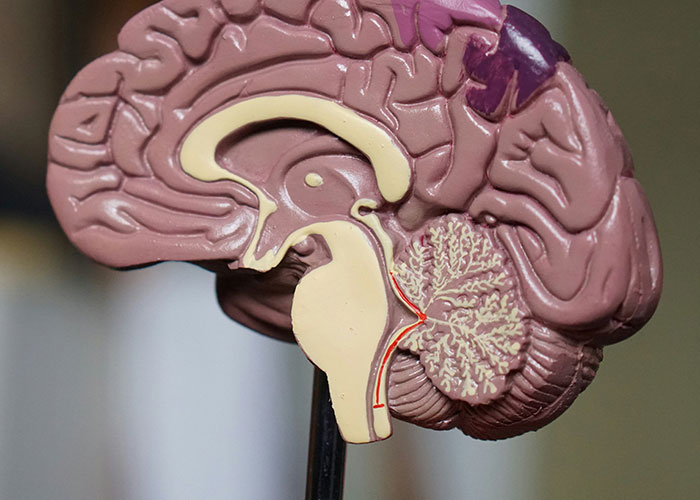 Wait, They Actually Ranked These Crazy Body Facts?!