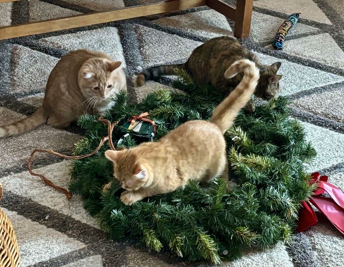 No Holiday Decor Gets Past The Council’s Approval