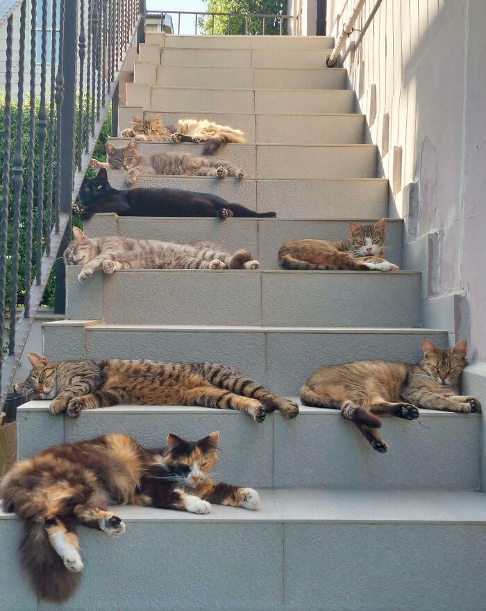 The Council Is Taking A Power Nap Break