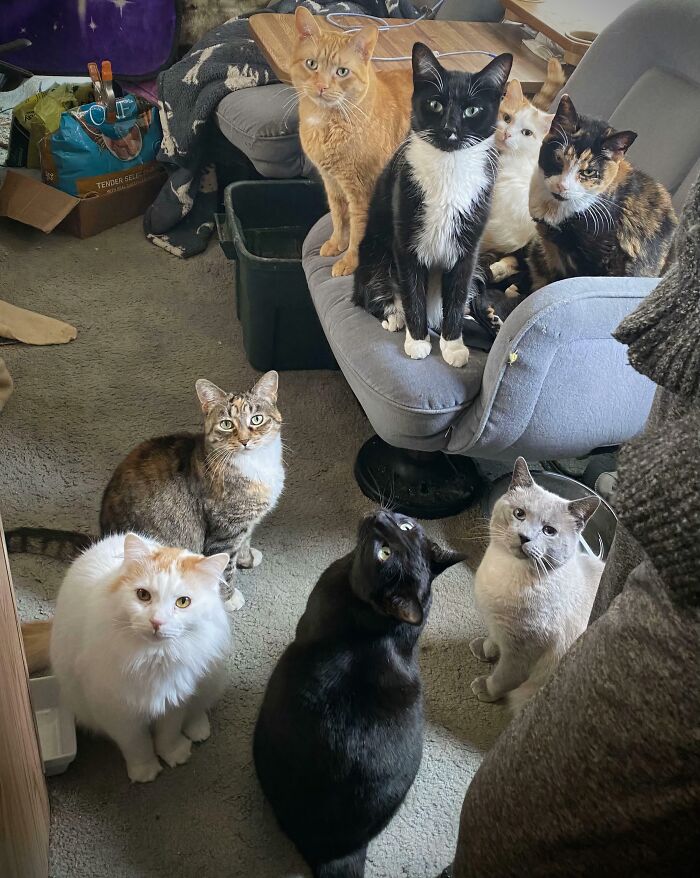 Welcome To The Council, Walk This Way