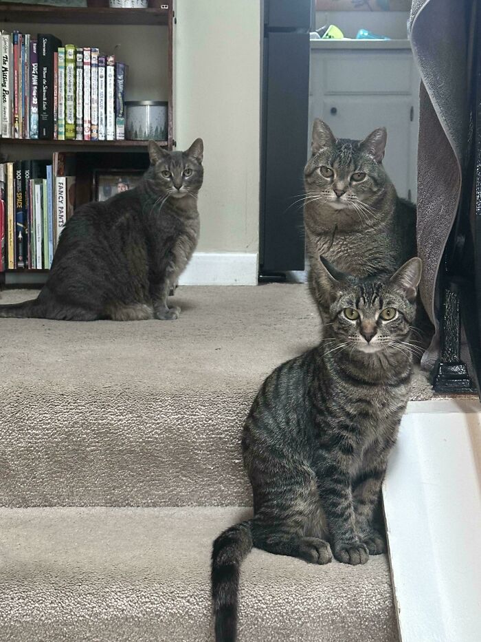 Judgment Council: ‘Aaaand Where Do You Think You’re Going?’