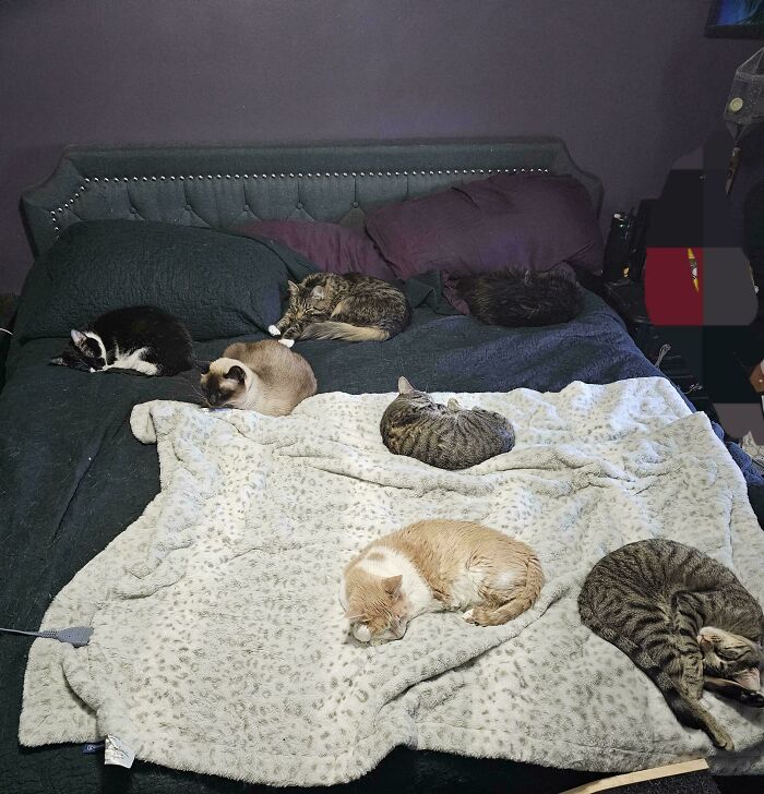 The Council Has Decided It’s Too Darn Cold