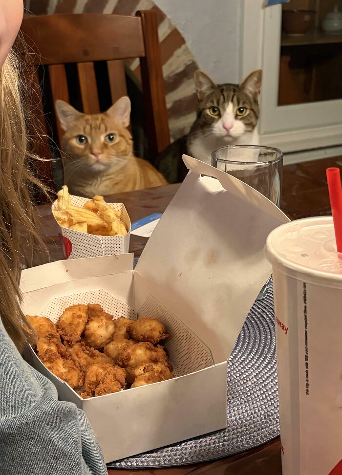The Council Really Wants Their Chick-fil-A, Thank You Very Much