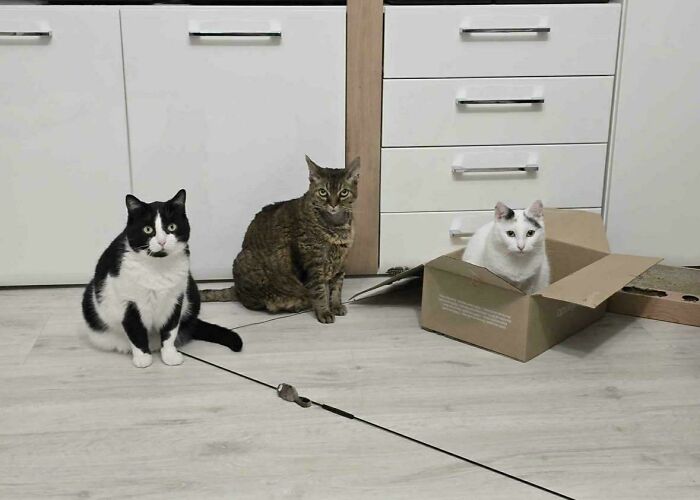 Why Do I Feel Like I’m Being Judged Right Now?