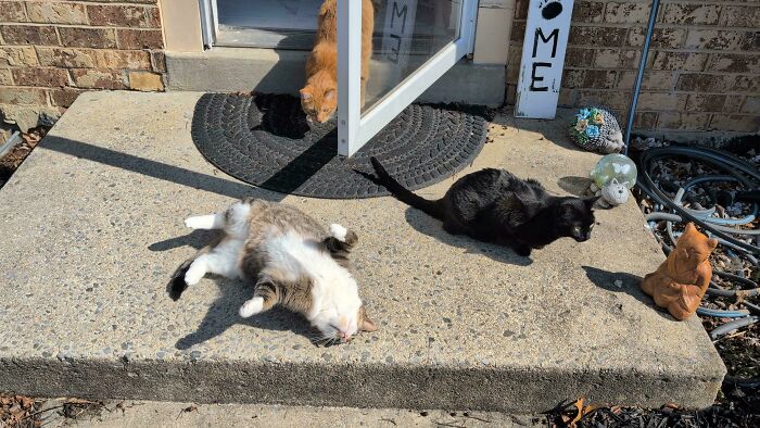 Next Week’s Retreat Vote Is Postponed Because Rolling On Concrete Is More Fun