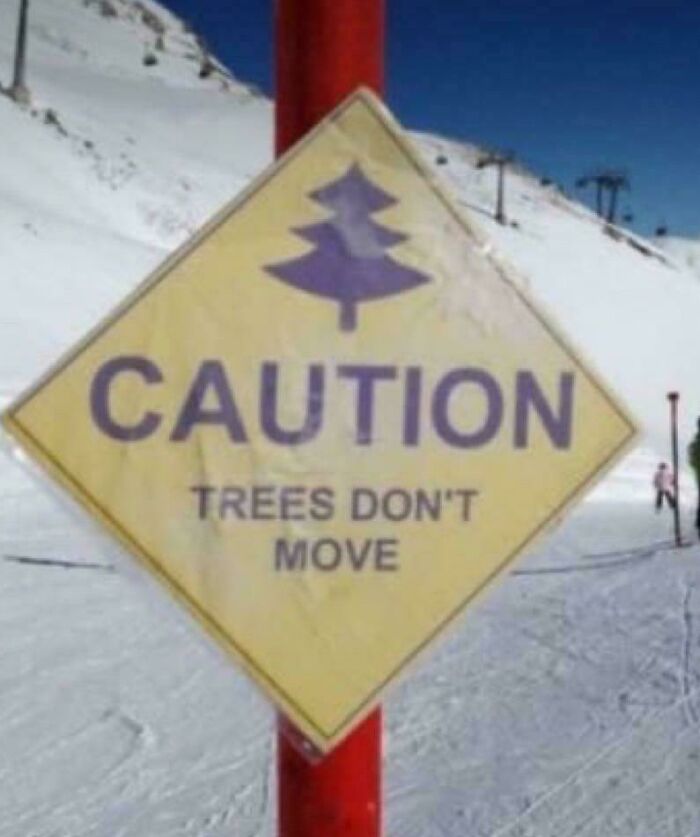 Wait, What Went Wrong Here?