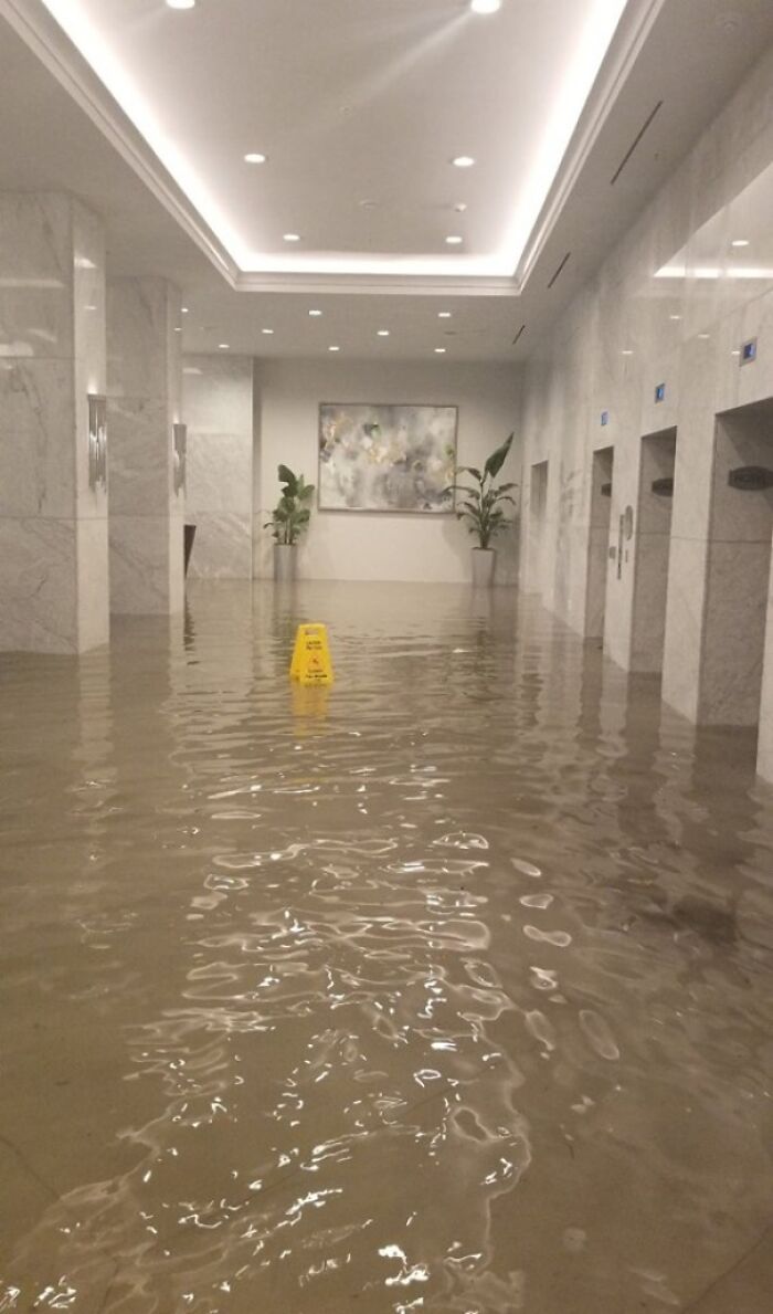 Hotel Lobby Chaos – Sign Style