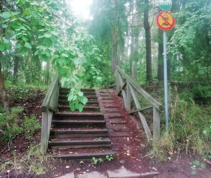 No Cars Allowed, Says... Wait, What?