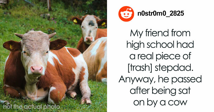 Wait, They Actually Ranked THAT?!: The Wildest Ways People Have Clocked Out