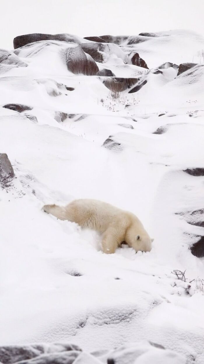 Wildlife Pics That Will Totally Make Your Jaw Drop