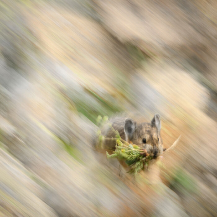 Wildlife Pics That Will Totally Make Your Jaw Drop