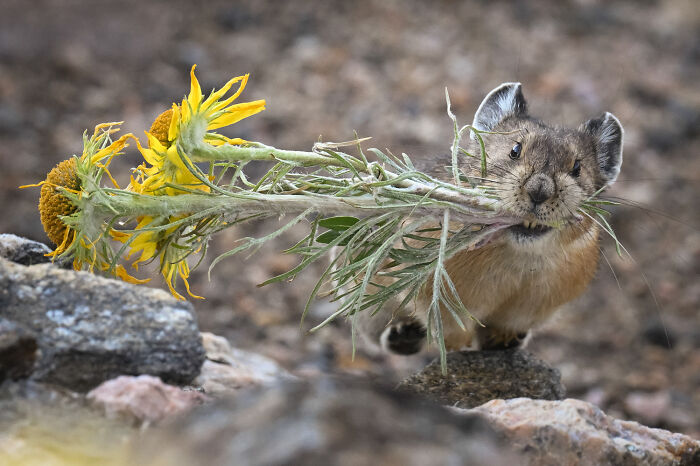Wildlife Pics That Will Totally Make Your Jaw Drop