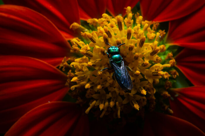 Wildlife Pics That Will Totally Make Your Jaw Drop
