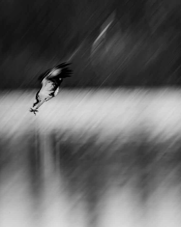 Wildlife Pics That Will Totally Make Your Jaw Drop