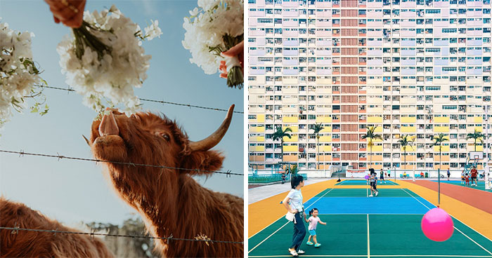 40 Mind-Blowing Photos That Turn Colors Into Wild Stories
