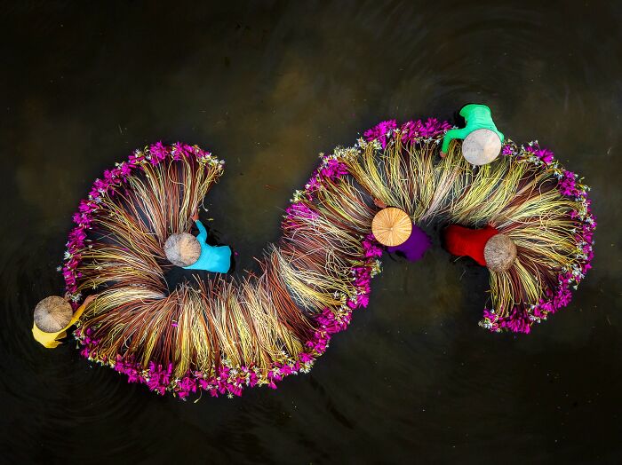 "Living Palette Of Vietnam" By Maria Gabriela Rocha Gomez