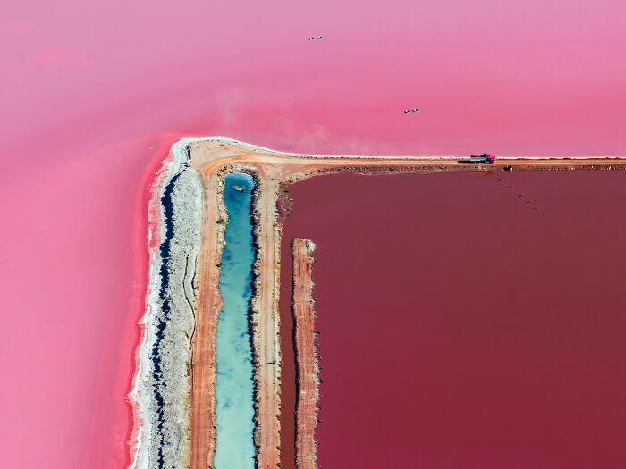 "Hutt Lagoon" By Scott Jon William Mccook