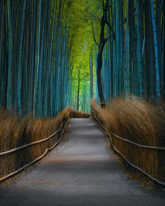 "Kyoto Dreaming" By Peter Lik
