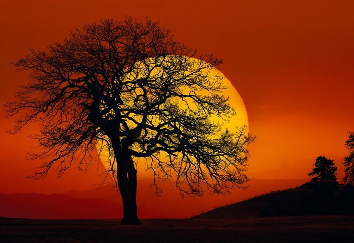 "In Search Of The Sun" By Peter Lik