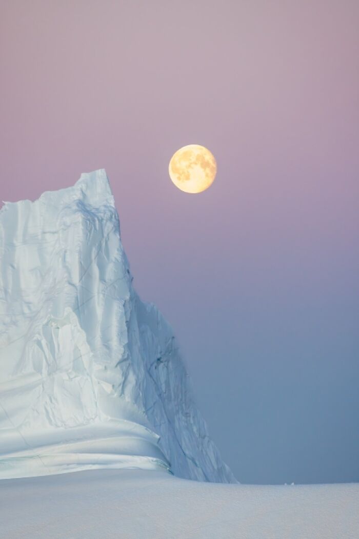 "By The Light Of The Moon" By Vicki Santello