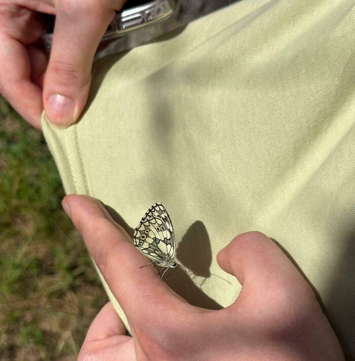 My T-Shirt And A Friendly Butterfly: Match Made In Color Heaven