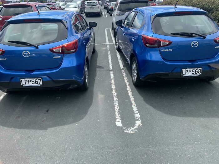 Same Car, Same Color, Just One Number Off—Coincidence Or Color Twins?