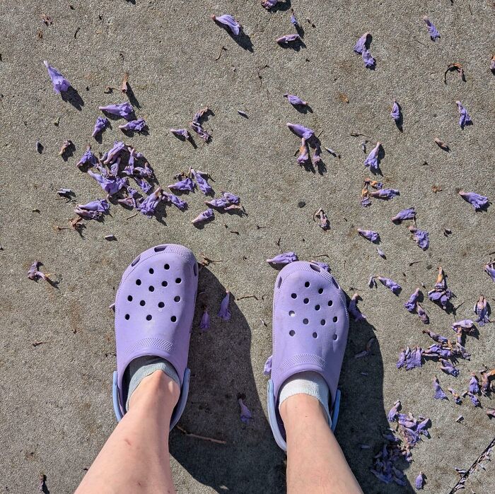 Wait, They Totally Matched By Accident?! 68 Paint Color Pairings That Are So Perfect It’s Crazy
