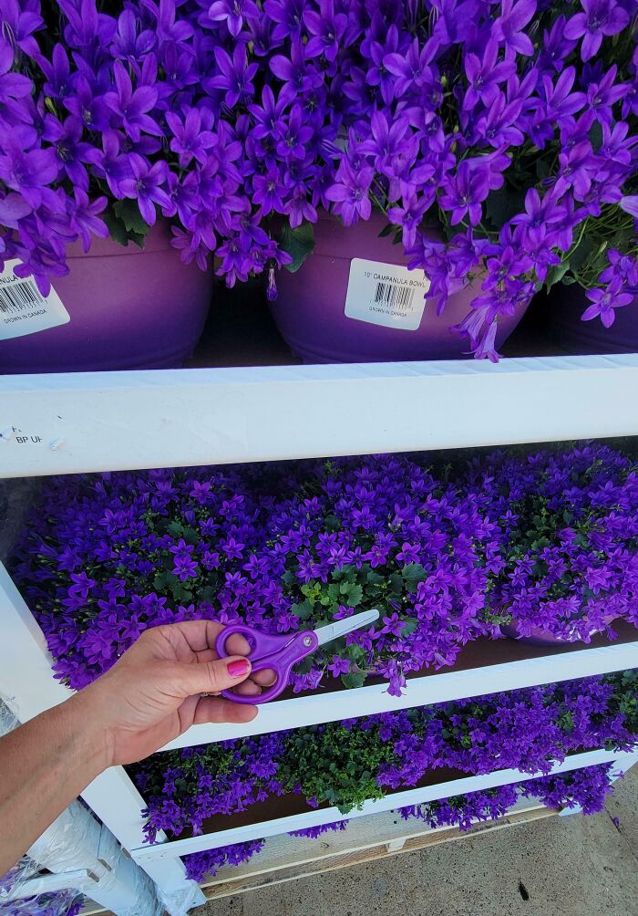 Wait, They Totally Matched By Accident?! 68 Paint Color Pairings That Are So Perfect It’s Crazy