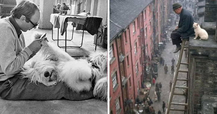 Wait, Nature Crashed the Street Photos—And It’s Hilariously Awesome!