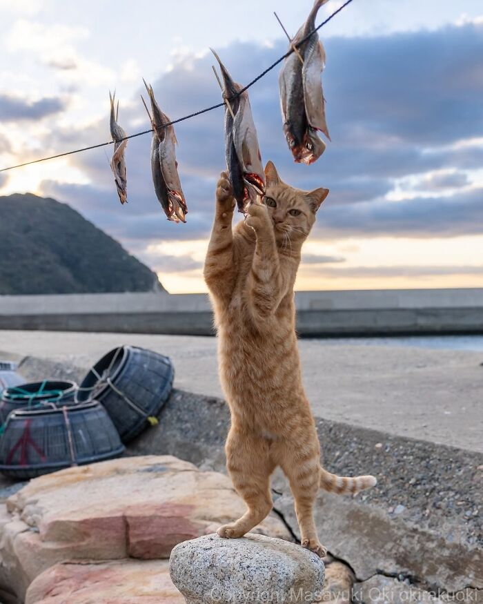 Wait, Nature Crashed the Street Photos—And It’s Hilariously Awesome!