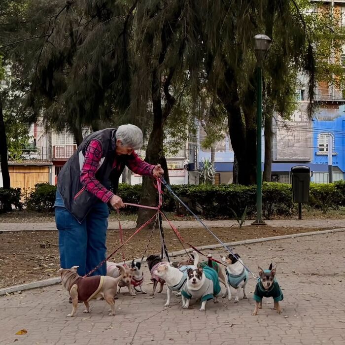 Wait, Nature Crashed the Street Photos—And It’s Hilariously Awesome!