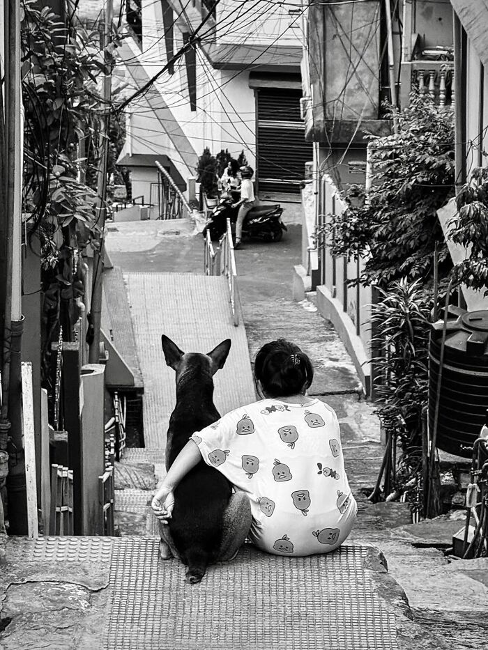Wait, Nature Crashed the Street Photos—And It’s Hilariously Awesome!