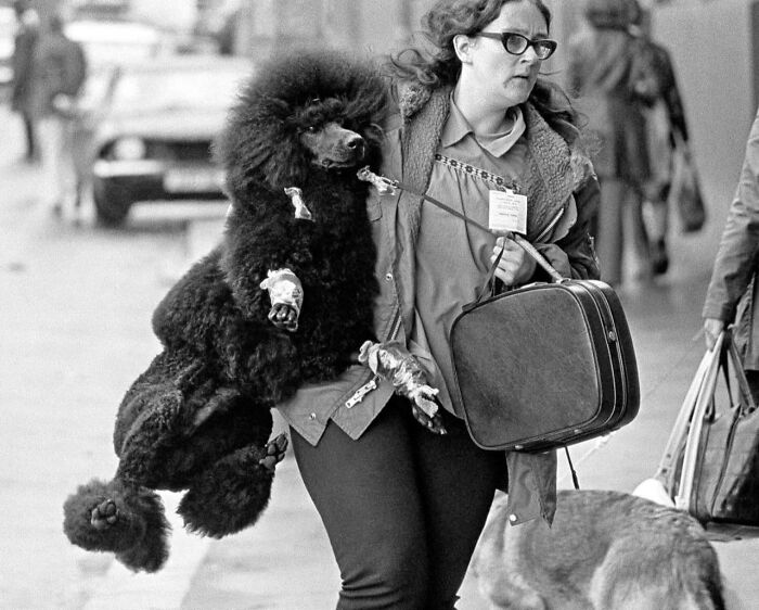 Wait, Nature Crashed the Street Photos—And It’s Hilariously Awesome!
