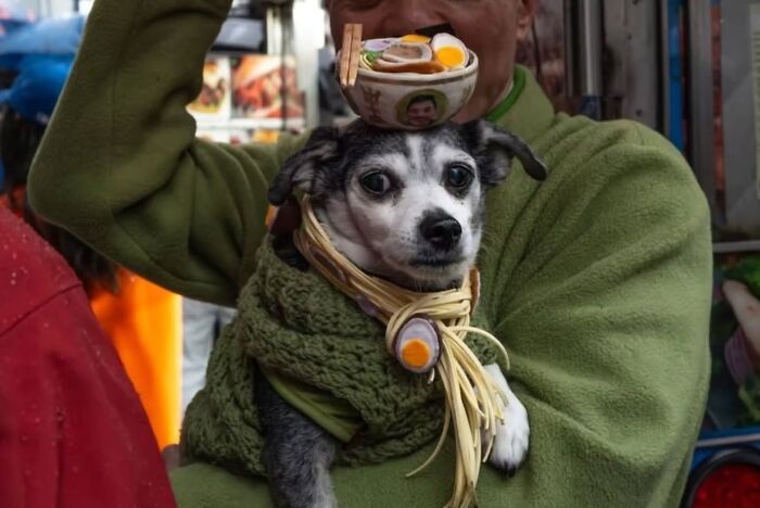 Wait, Nature Crashed the Street Photos—And It’s Hilariously Awesome!