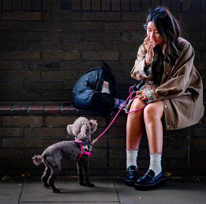 Wait, Nature Crashed the Street Photos—And It’s Hilariously Awesome!